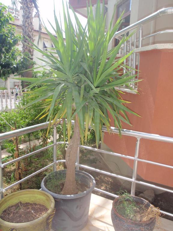 Aloe Apart Hotel Marmaris Exterior photo